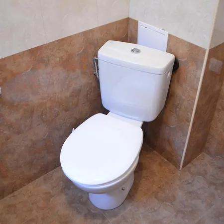 Viktoria Apartament *