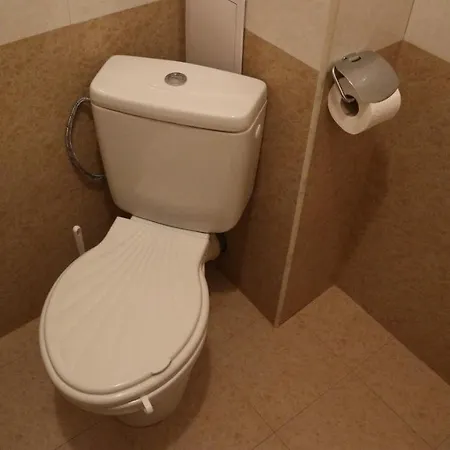 Apartament Viktoria *