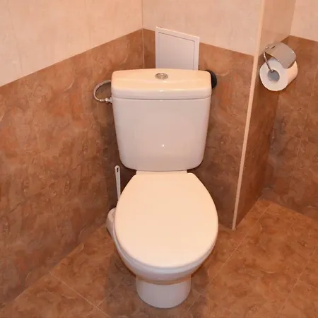 Apartament Viktoria *