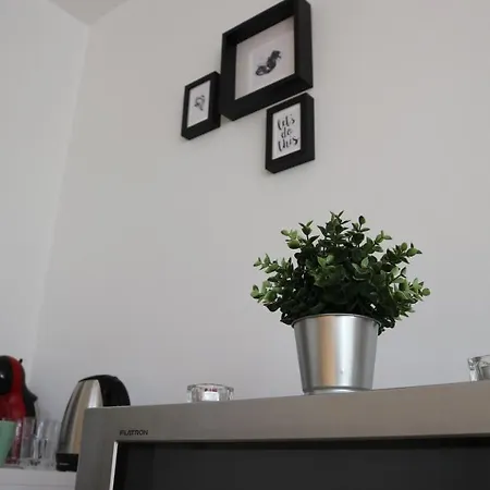 Viktoria Apartment *