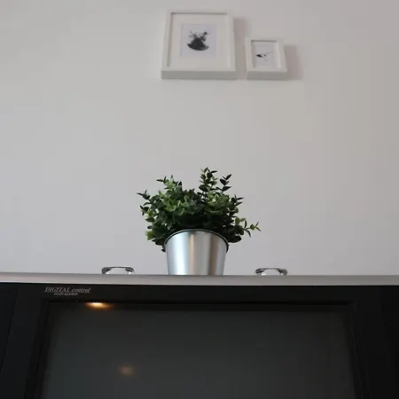 Viktoria Apartment *