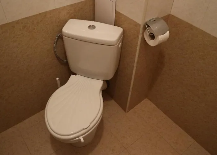 Апартаменты Viktoria *